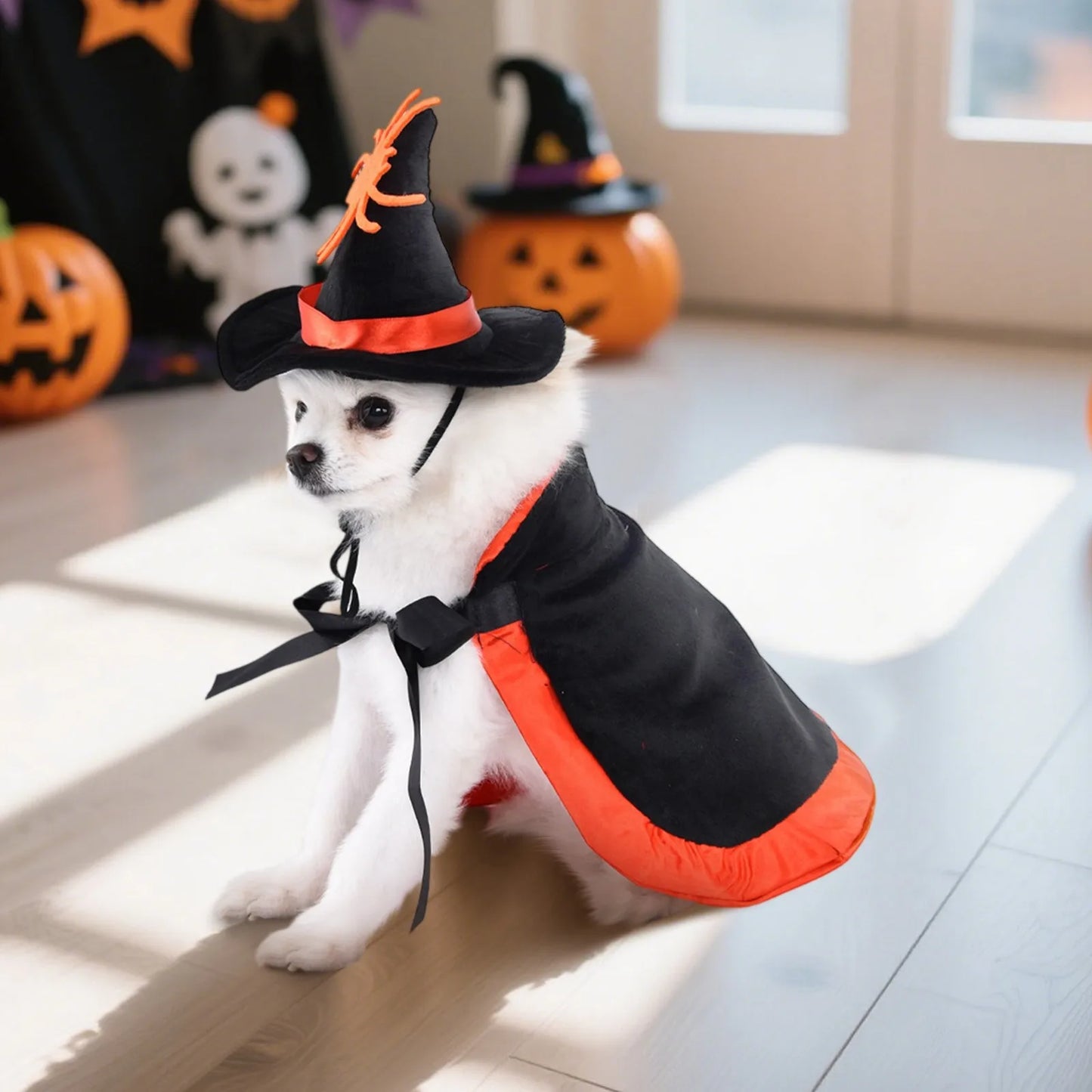 Halloween Costume With Witch Hat