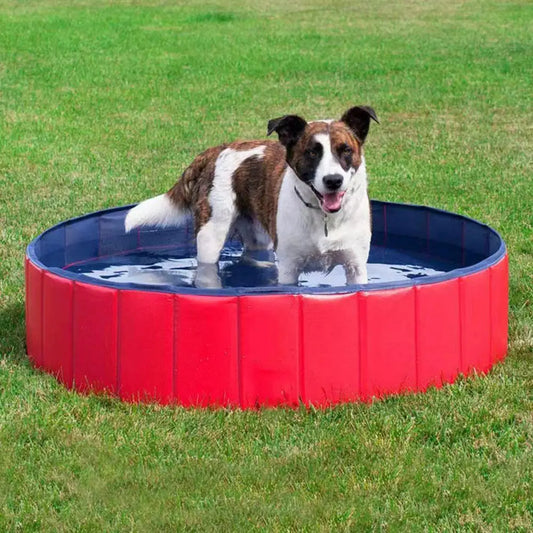 Pet Bath Tub