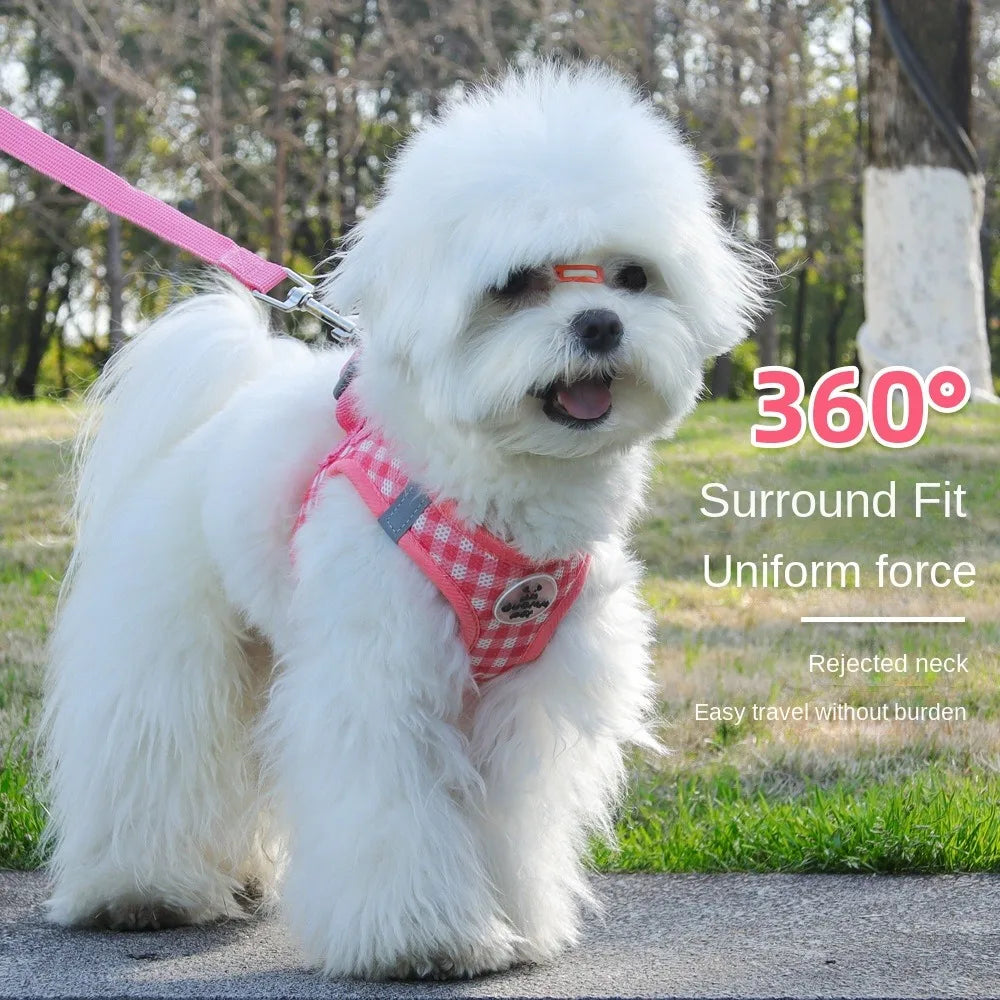 Stylish & Comfortable Dog Harness Leash