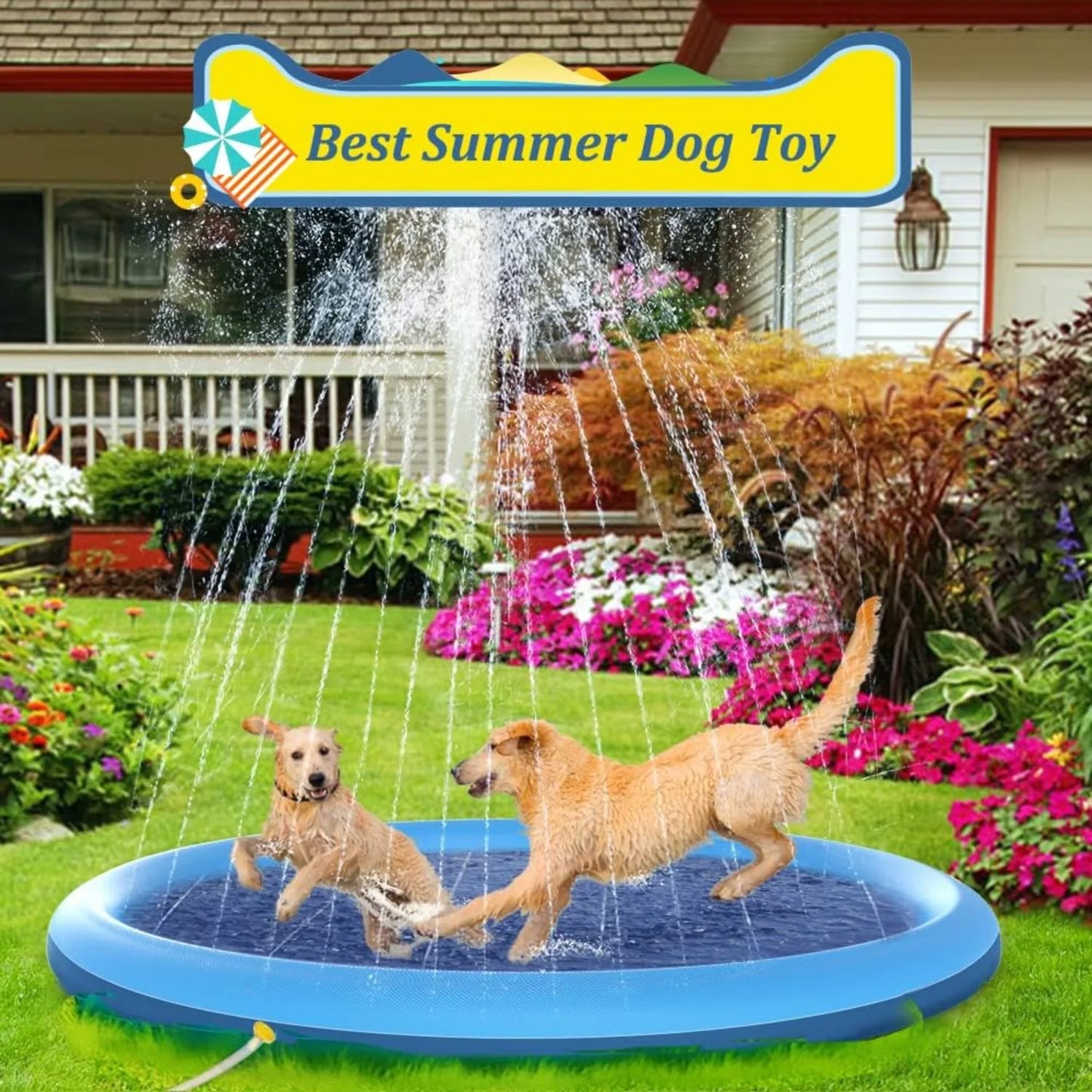 Pet Swimming Pool