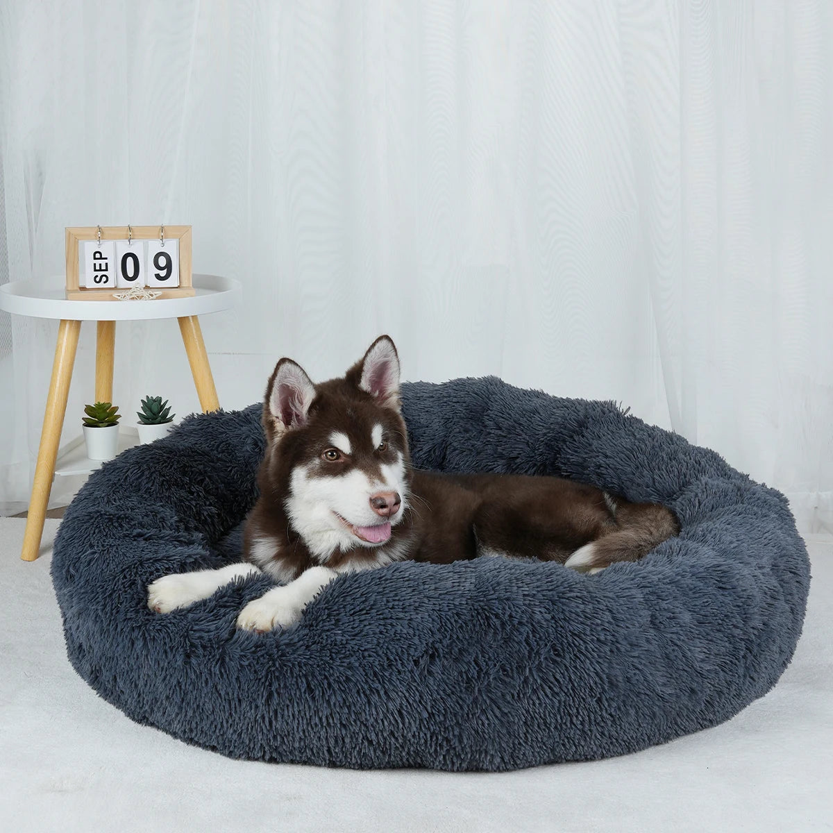 Large Round Donut Bed