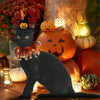 Halloween Pet Costume Set with Adjustable Elastic Hat Collar - Pumpkin Style