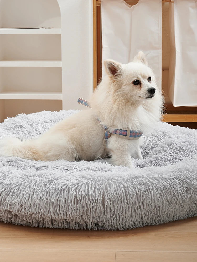 Calming Dog Bed