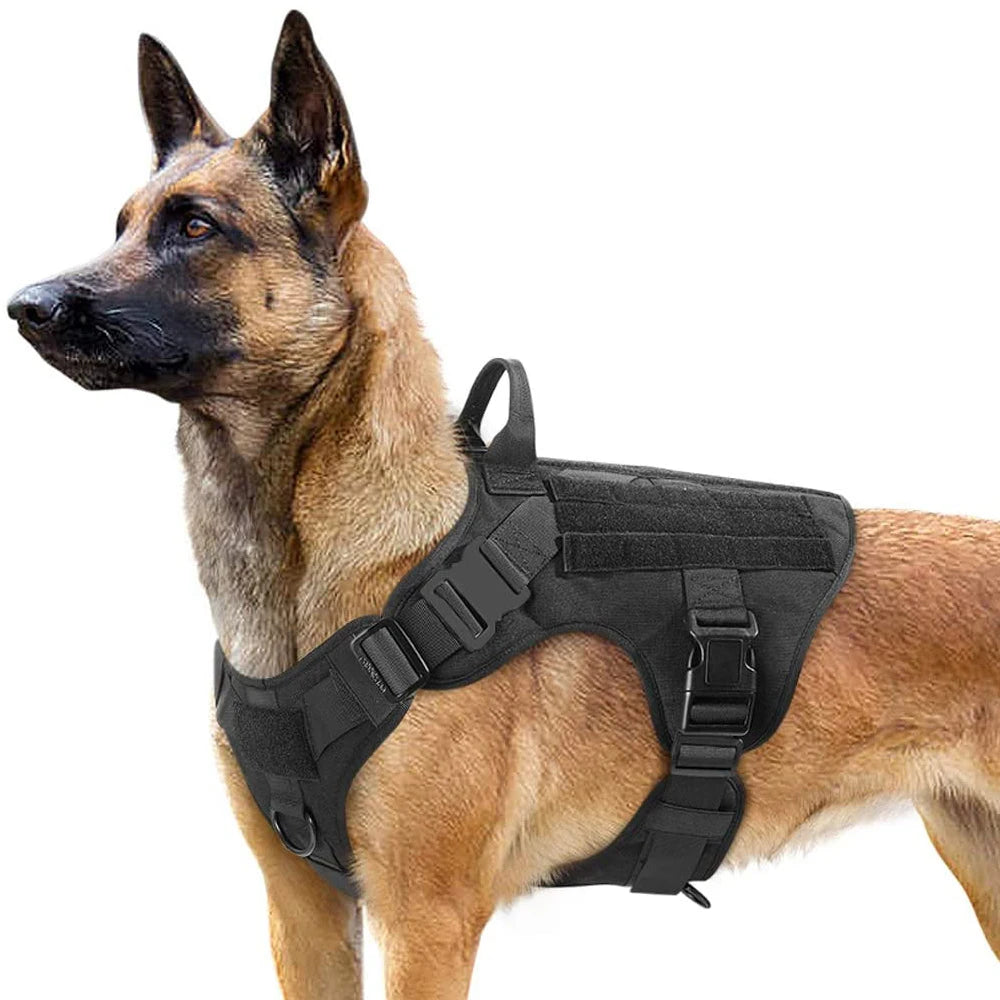 Large Dog Harness Collar Leash