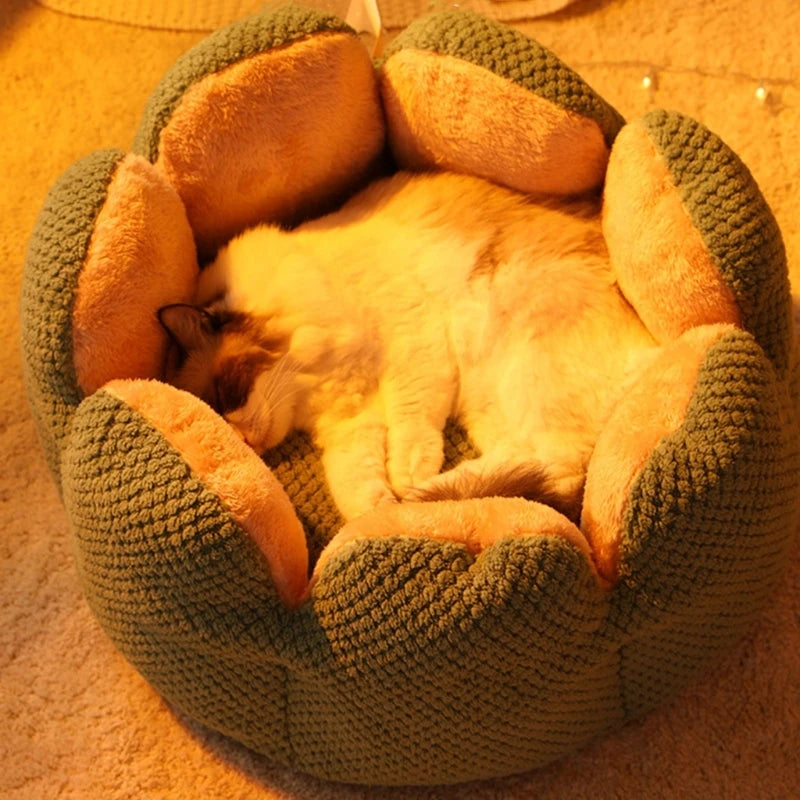 Cactus Flower Puppy Bed