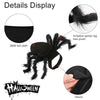 Halloween Pet Spider
