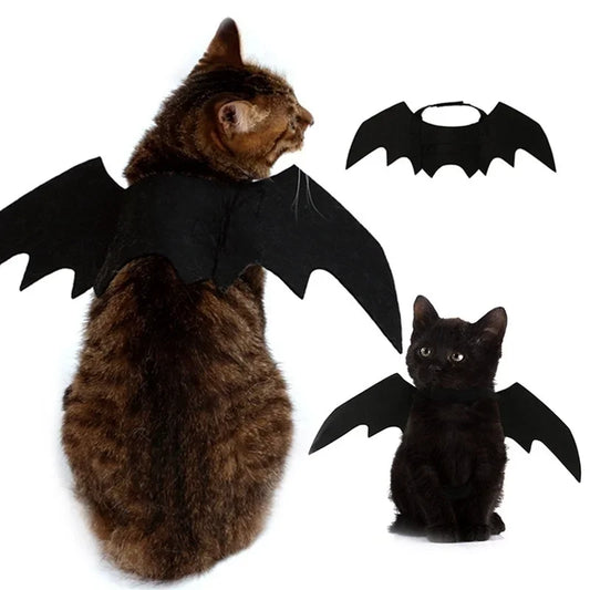 Halloween Black Bat Wings Harness