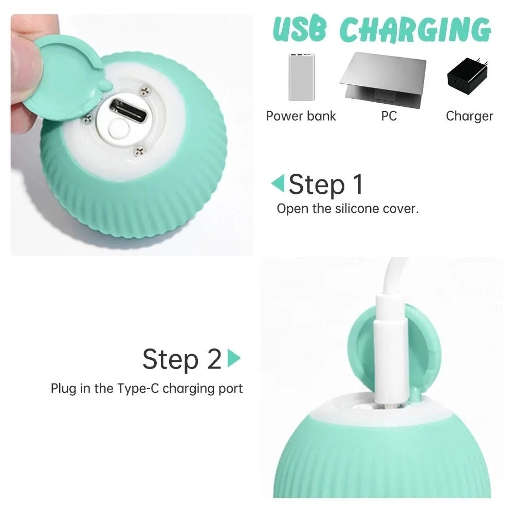 Smart Puppy Ball Toy
