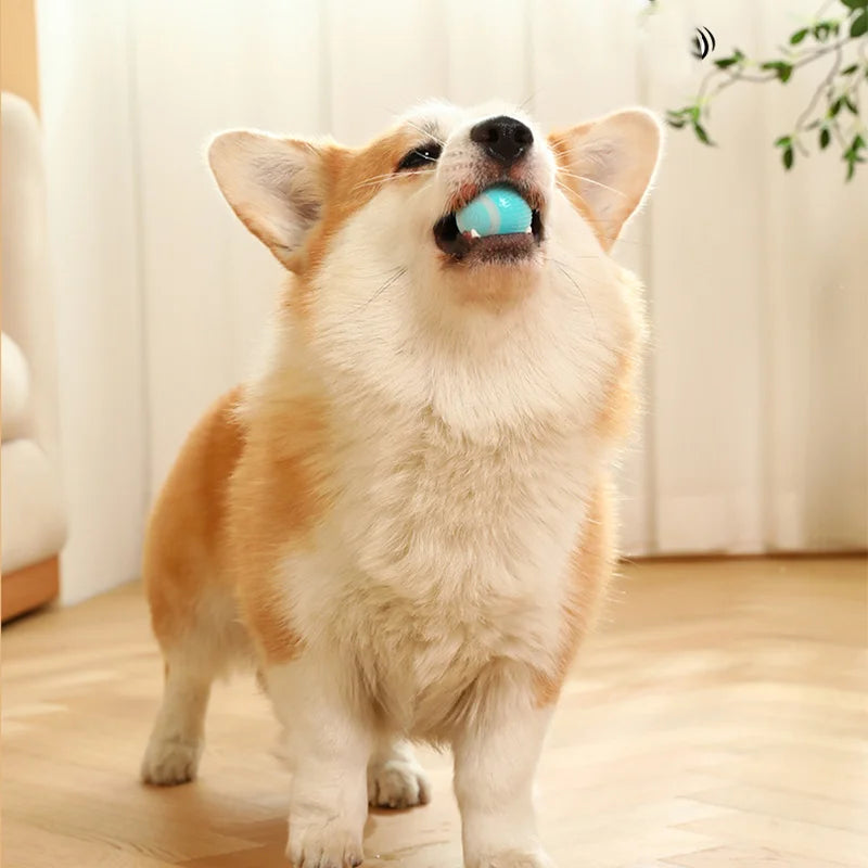 Smart Puppy Ball Toy