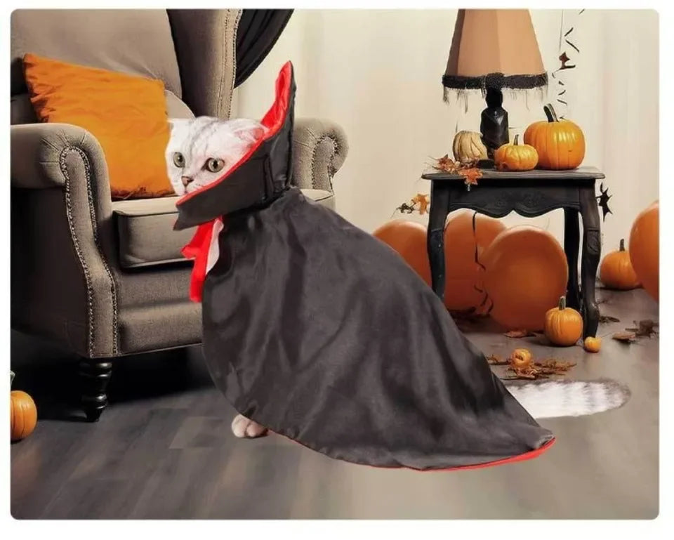Halloween Vampire Costumes Couture