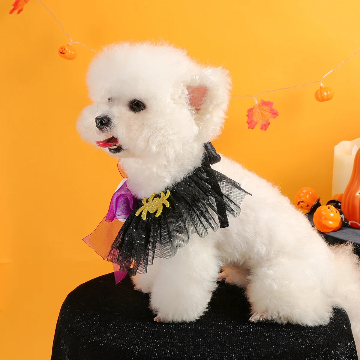 Halloween, Ghost Spider Gauze Scarf
