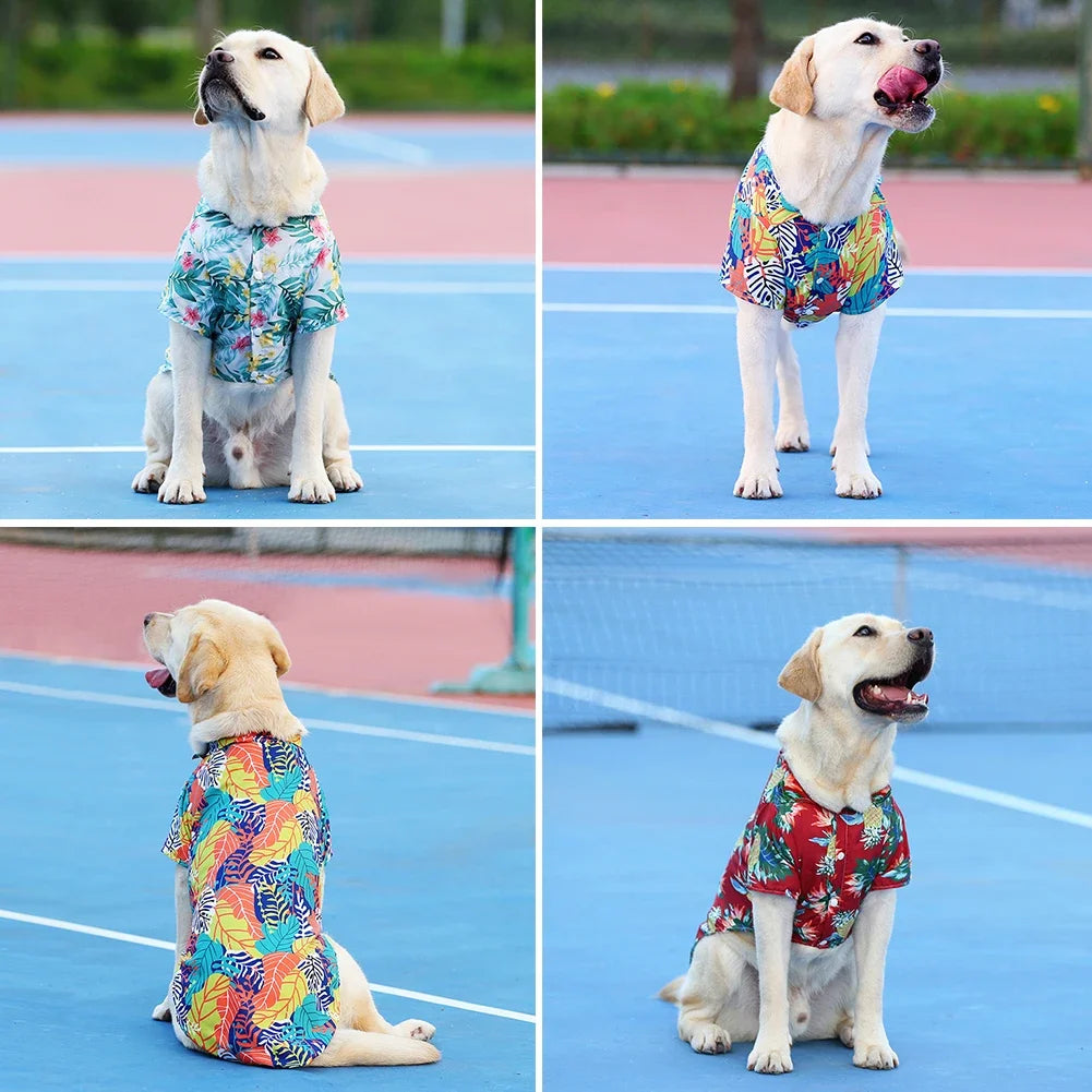 Hawaii Style