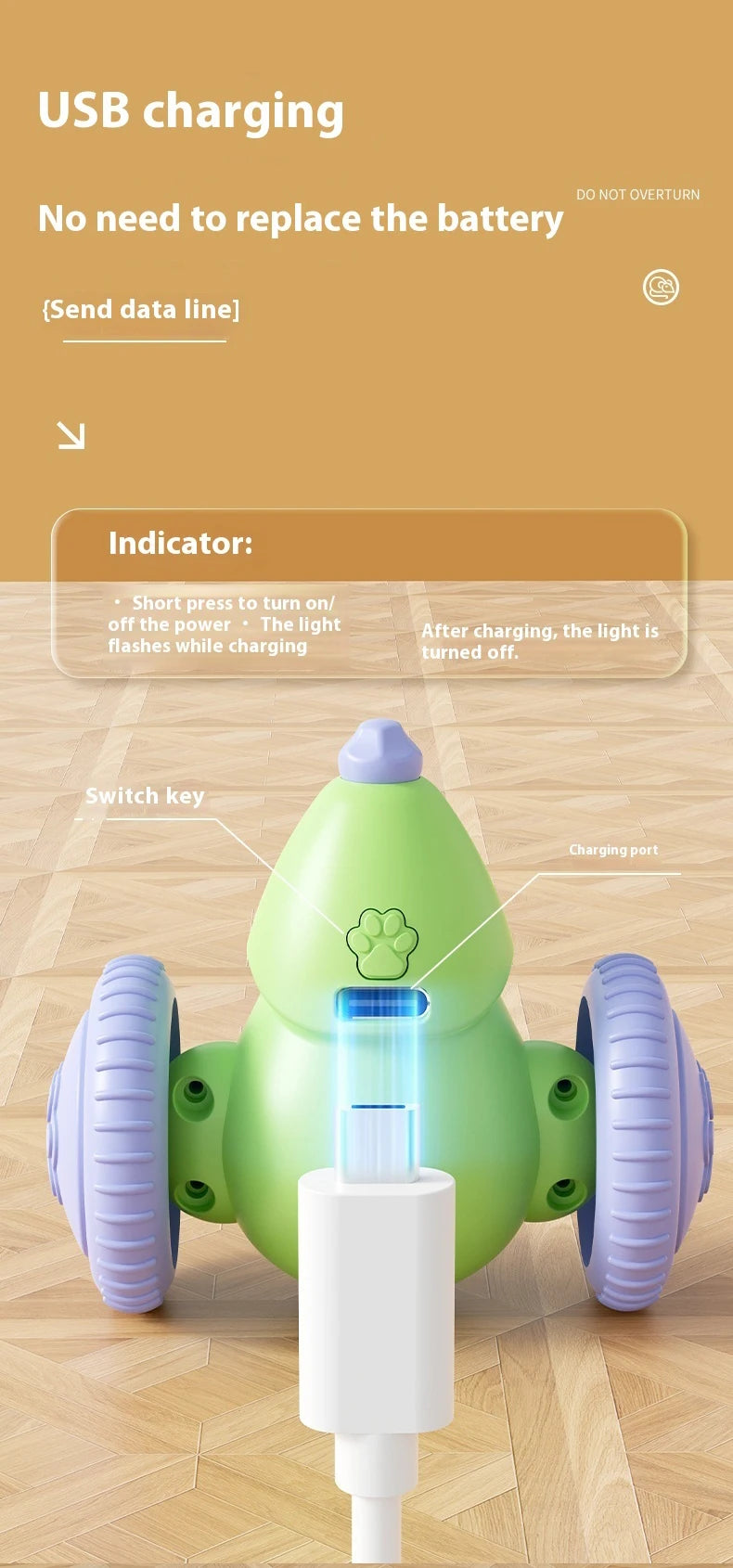 Electric Mouse Car