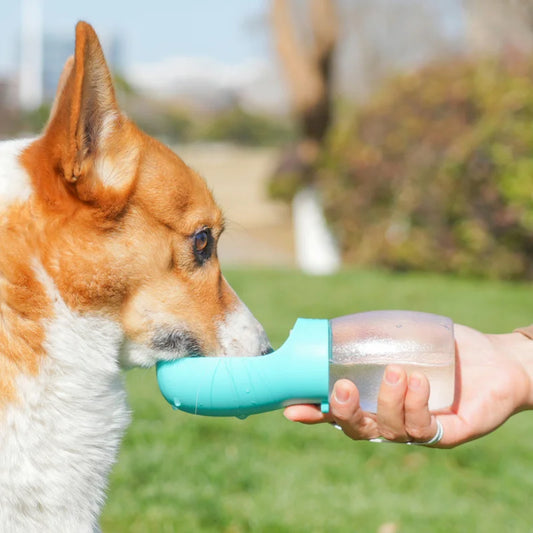 Portable Water Bottle