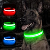 Luminous Collar