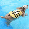 Little Bee Dog Swimsuit