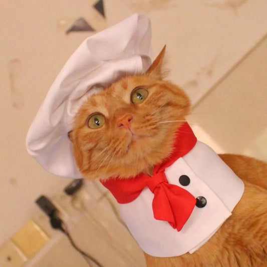 Halloween Cosplay Costumes Funny Chef Suit