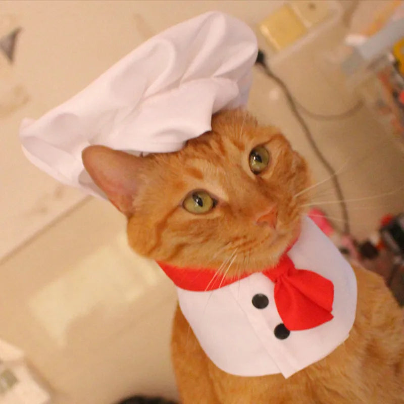Halloween Cosplay Costumes Funny Chef Suit