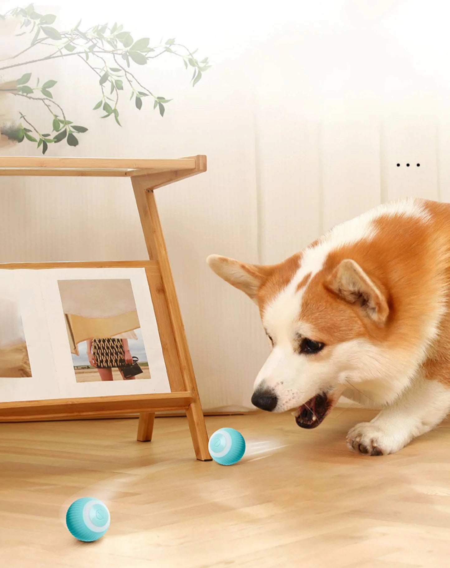 Smart Puppy Ball Toy