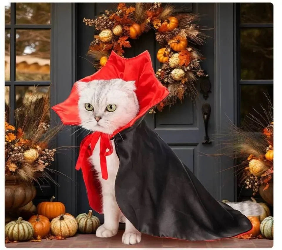 Halloween Vampire Costumes Couture
