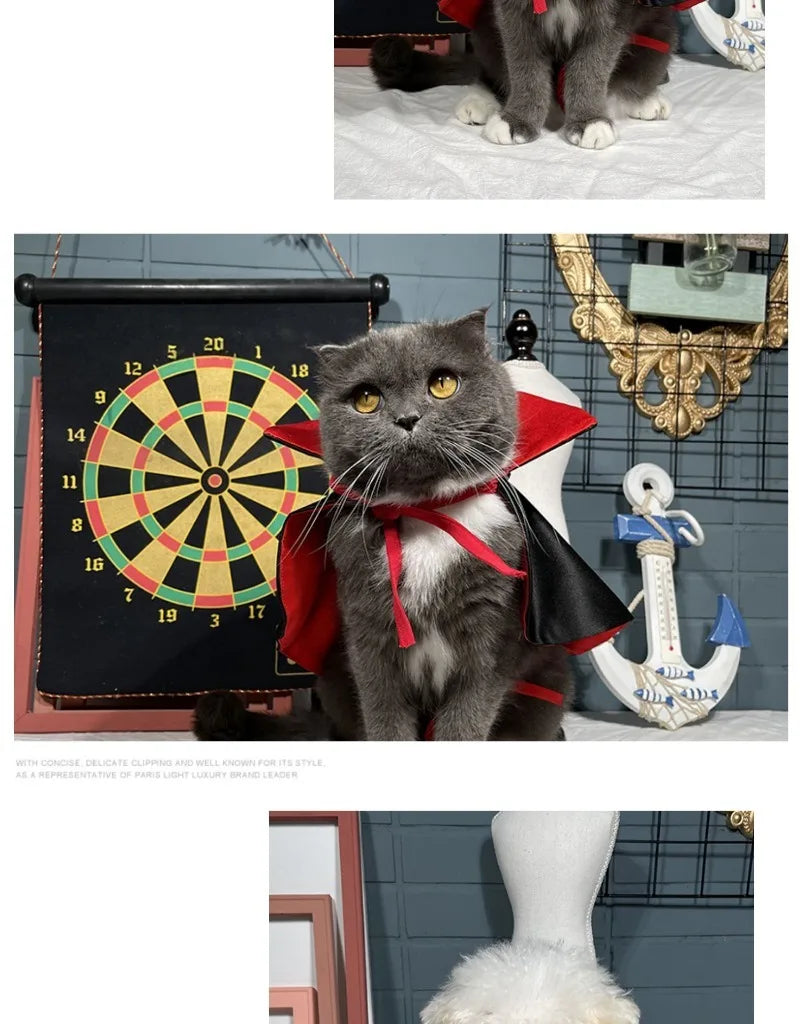 Pet Vampire Costumes