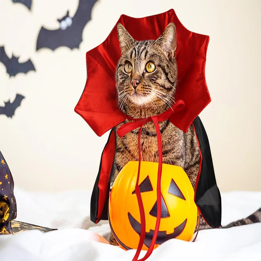 Halloween  Cosplay Vampire Costumes