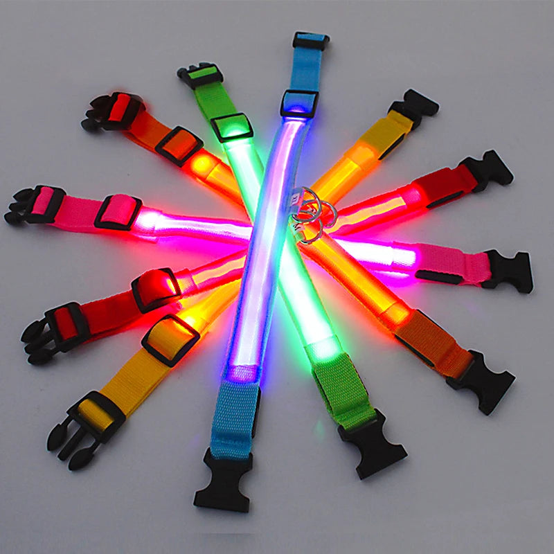 Luminous Collar