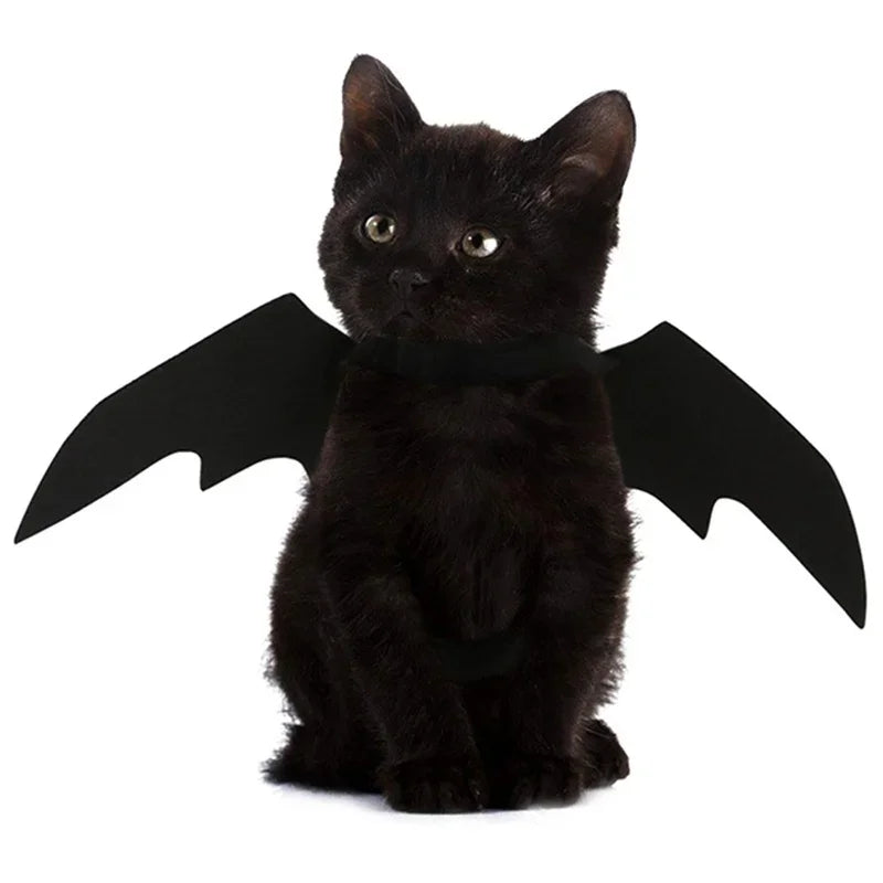 Halloween Black Bat Wings Harness