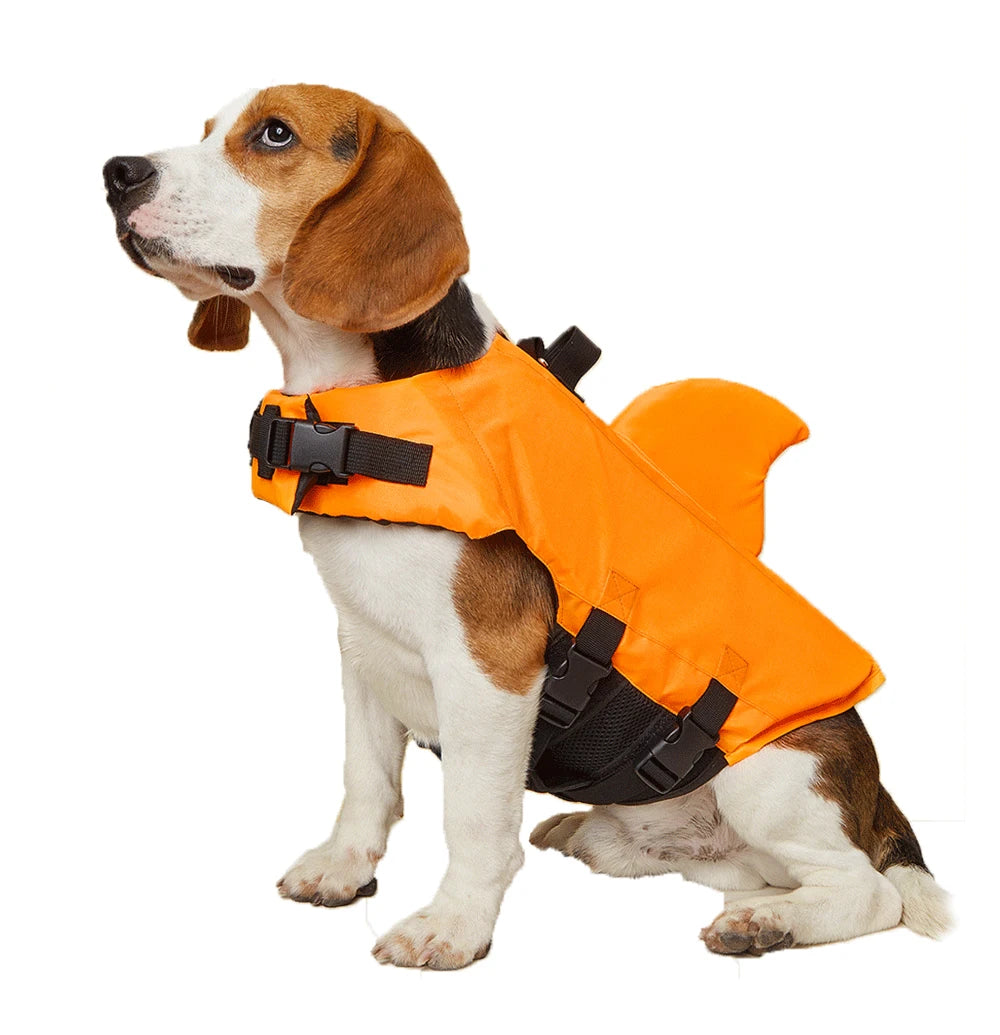 Shark Dog, Life Jacket