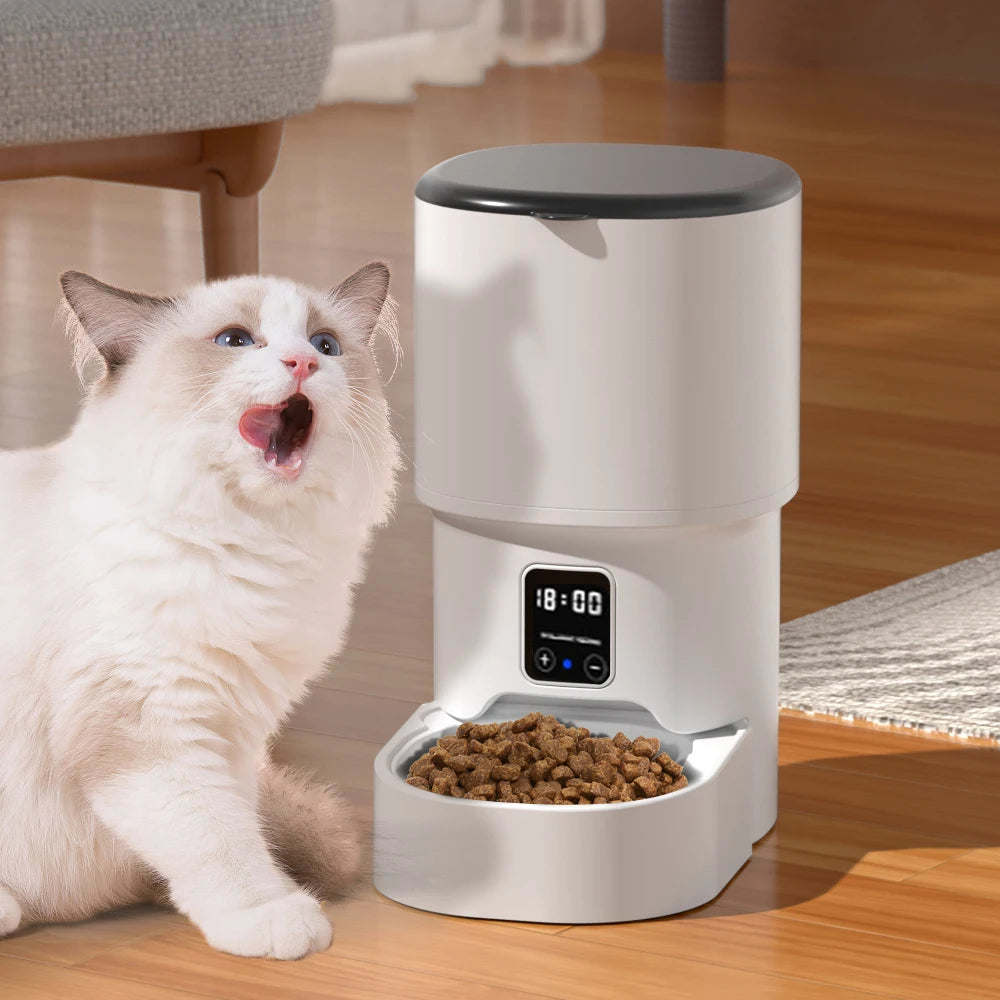 4L WIFI Feeder Intelligent