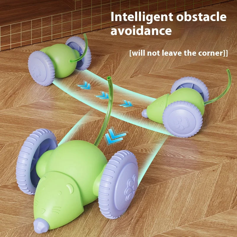 Electric Mouse Car