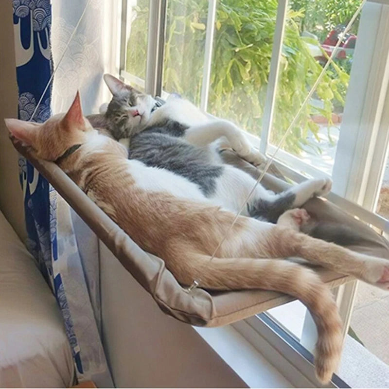 Cat Hammock