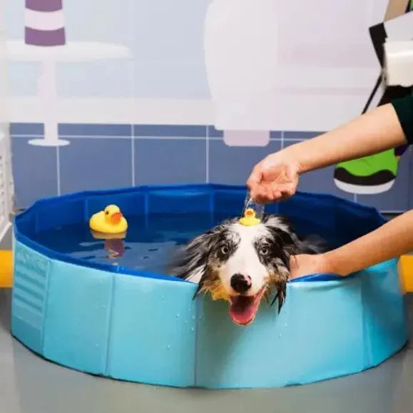 PVC foldable swimming pool