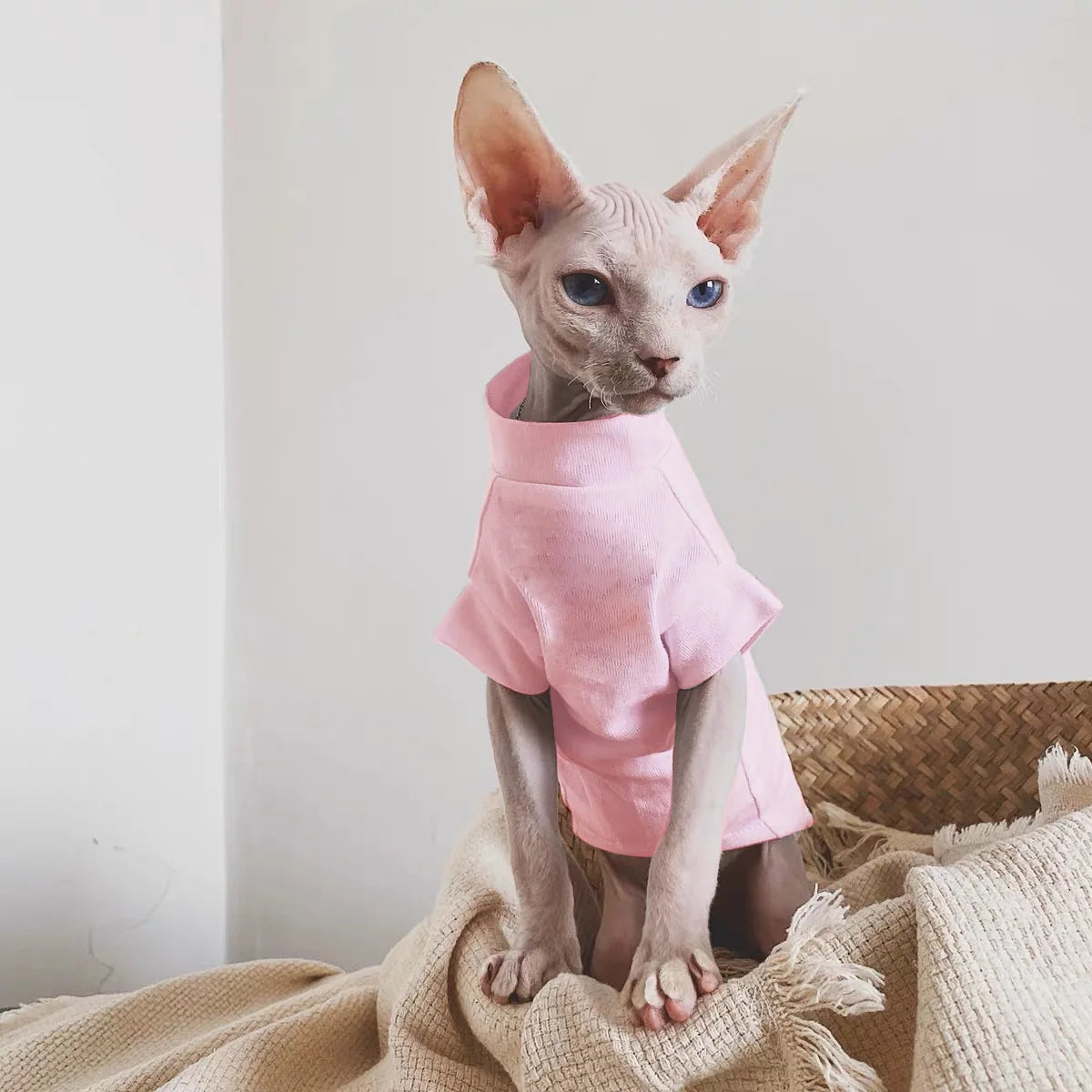 Sphynx، Summer Sleeveless Thin Vest