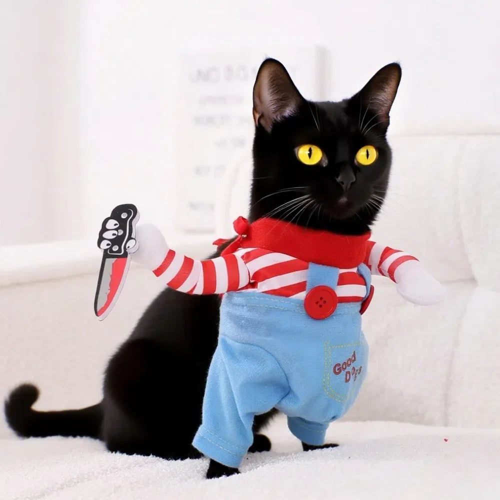 Halloween Cat Costume Funny Dress Up