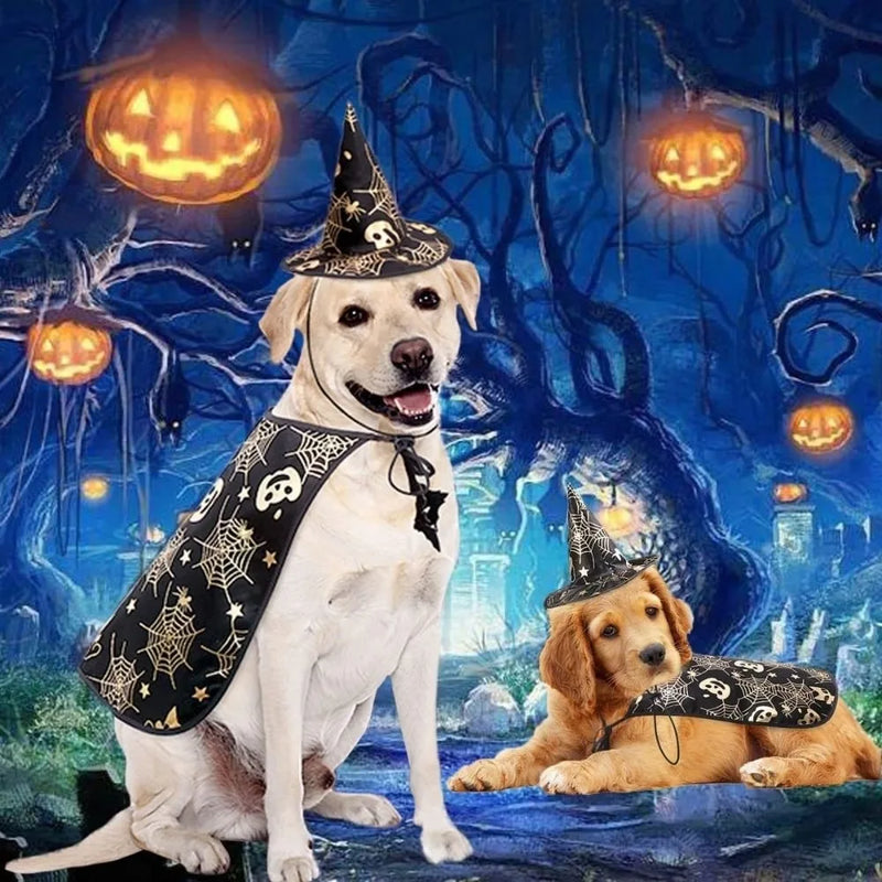 Cool Pumpkin Pet Halloween Costumes Cape