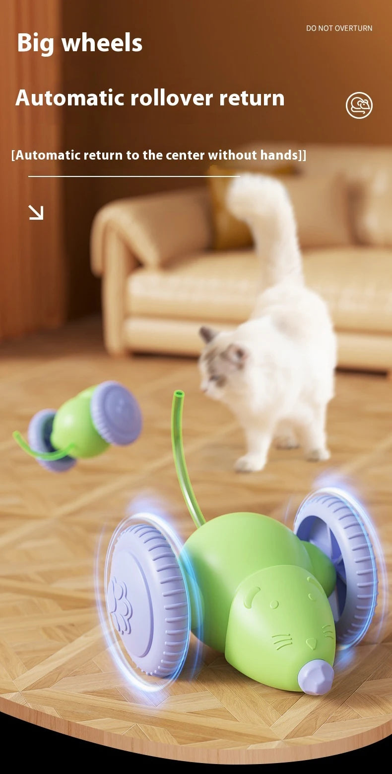 Electric Mouse Car