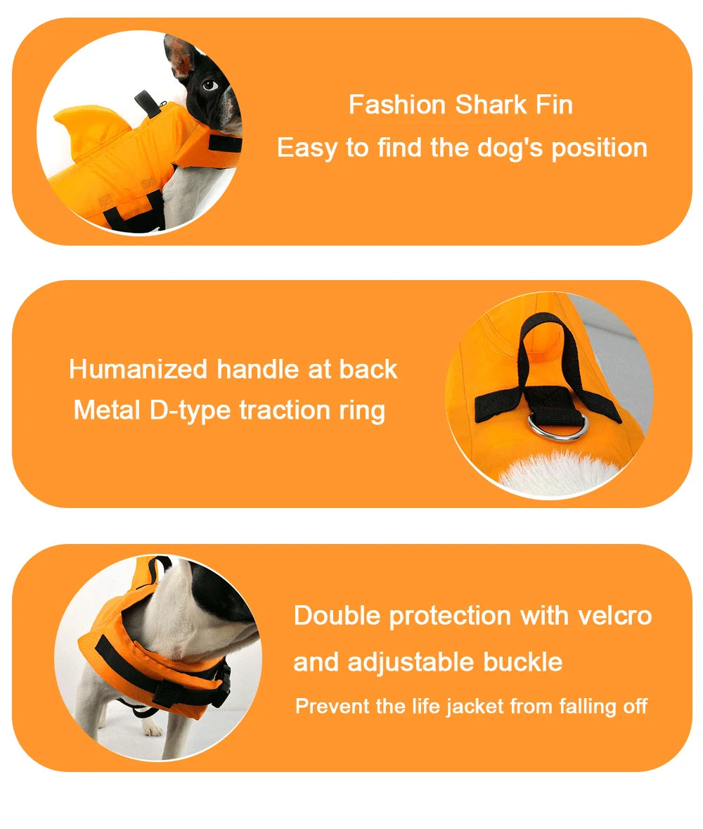 Shark Dog, Life Jacket