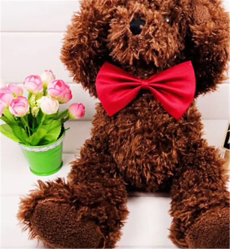 Pet Necklace Adjustable Strap