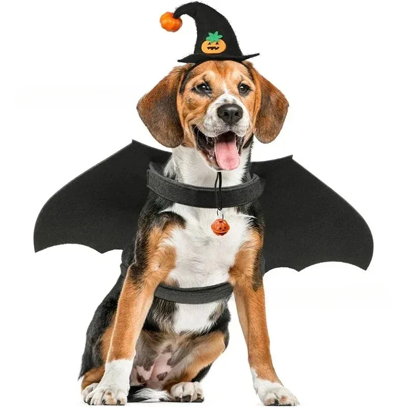 Halloween Witch Hat, Adjustable Soft Felt Pumpkin Cosplay Costume