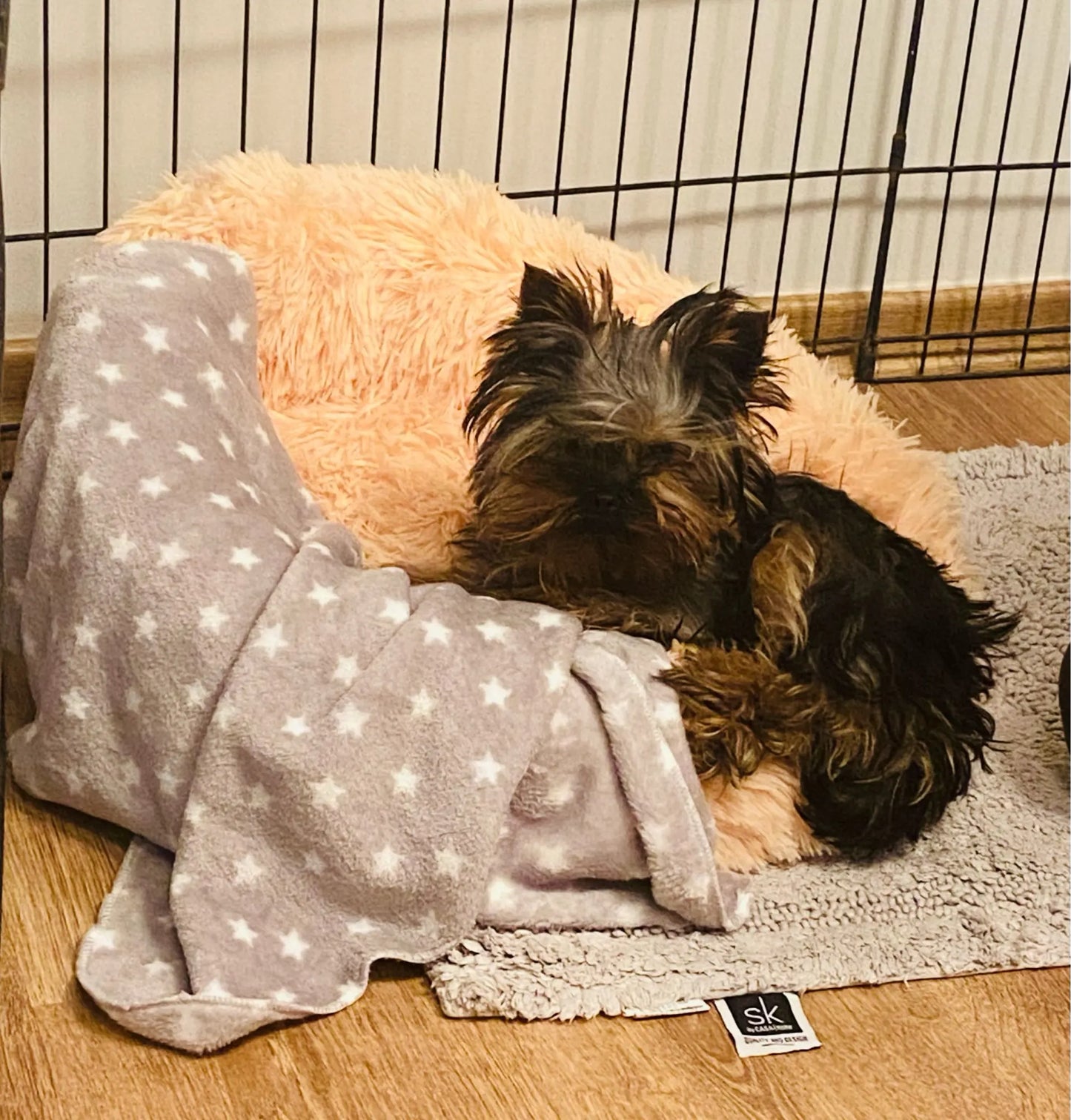 Pet Calming Donut Bed