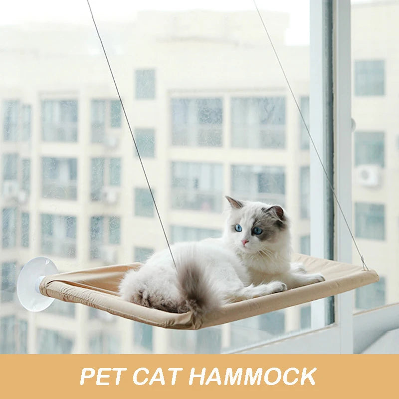 Cat Hammock