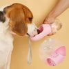 Outdoor Water Bottle For Cats & Dogs