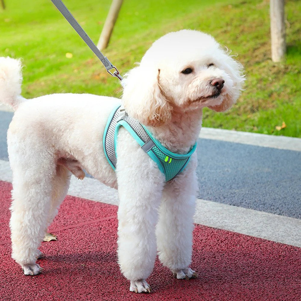 Breathable Harness Vest