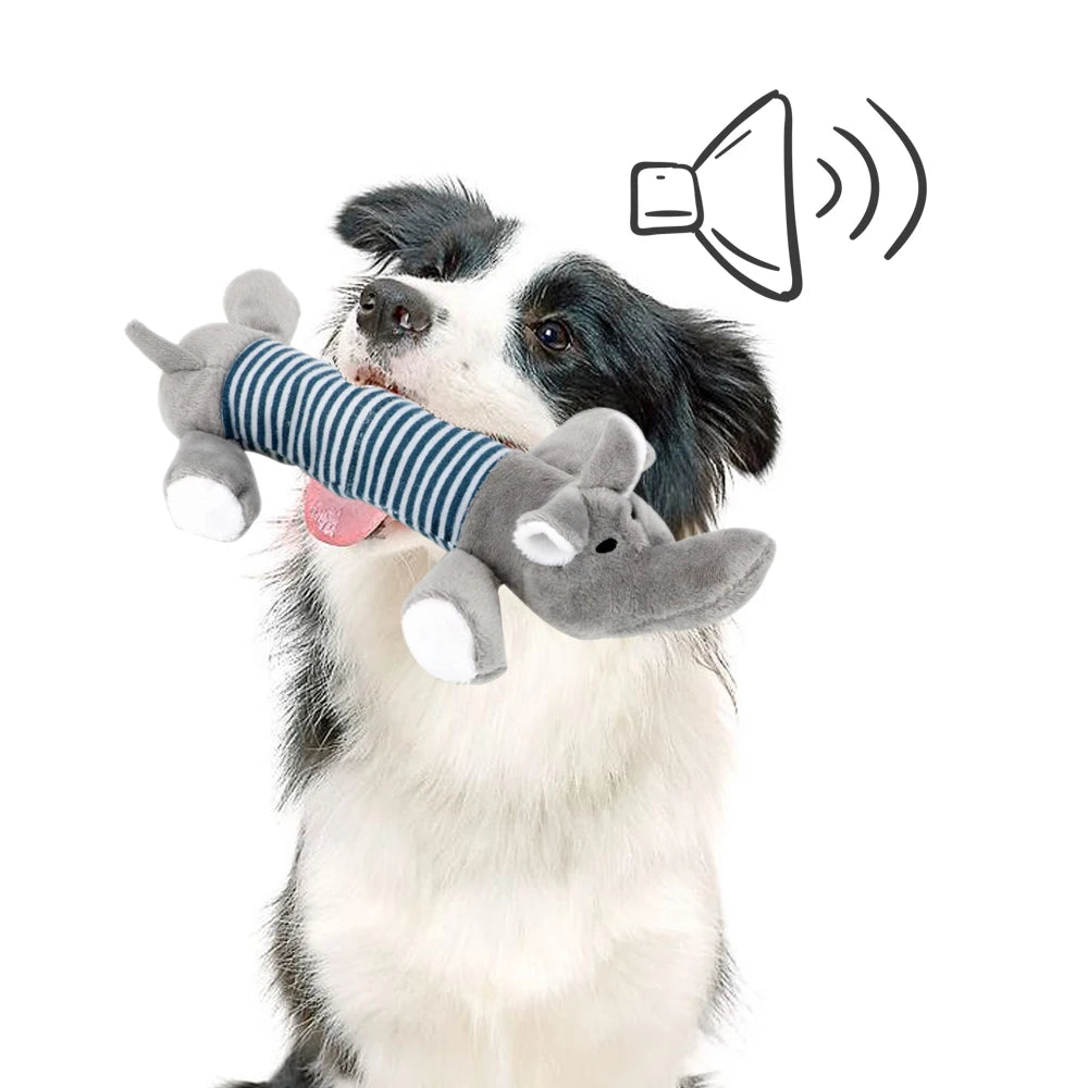 NICEYARD، Squeak Chew Sound