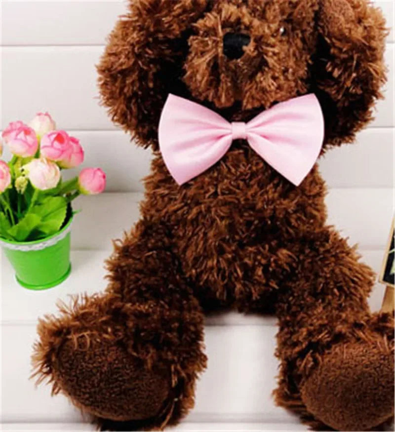 Pet Necklace Adjustable Strap