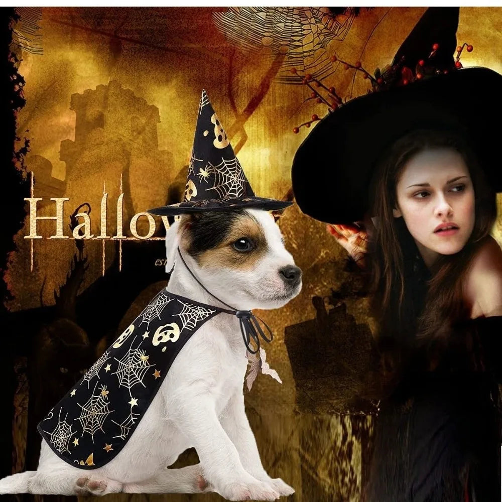 Pumpkin Halloween Costumes Cape