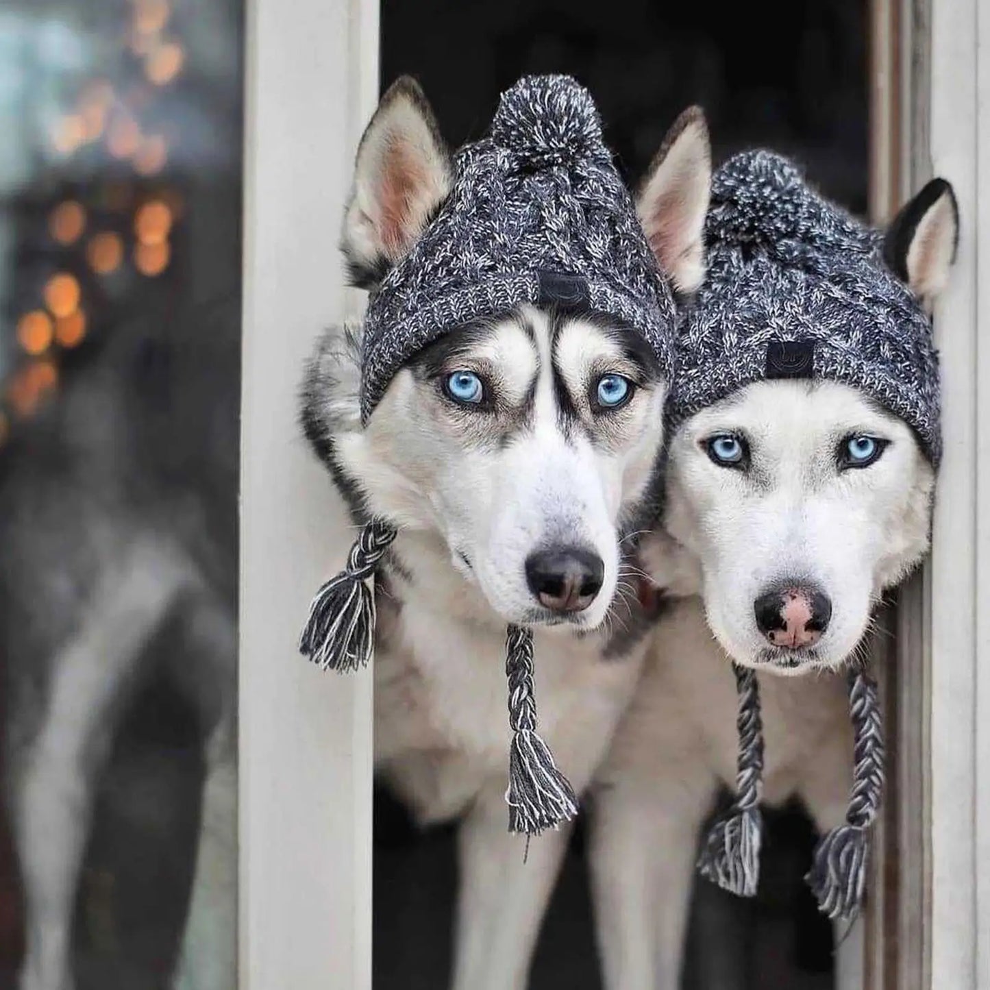 Windproof Hat