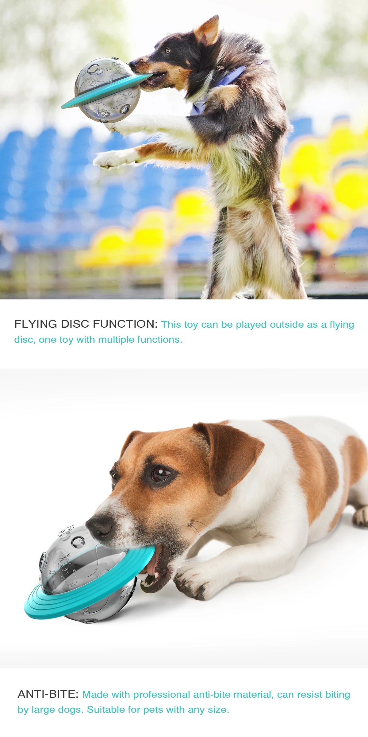 Feeder Toy