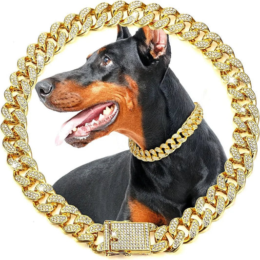 Luxurious Dog Chain Collar